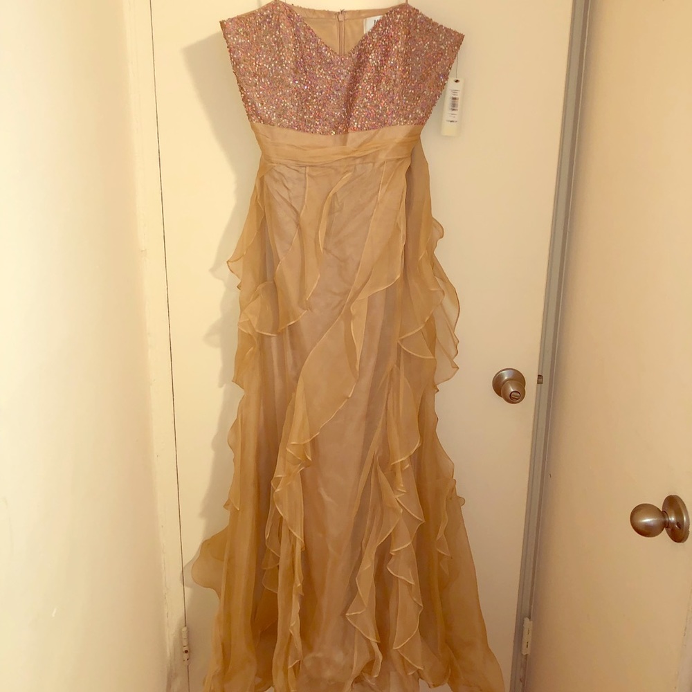 Beautiful Badgley Mischka gown